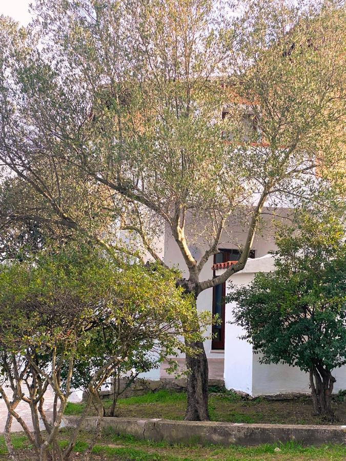 Casa Vacanza Porta Smeralda Olbia Kültér fotó