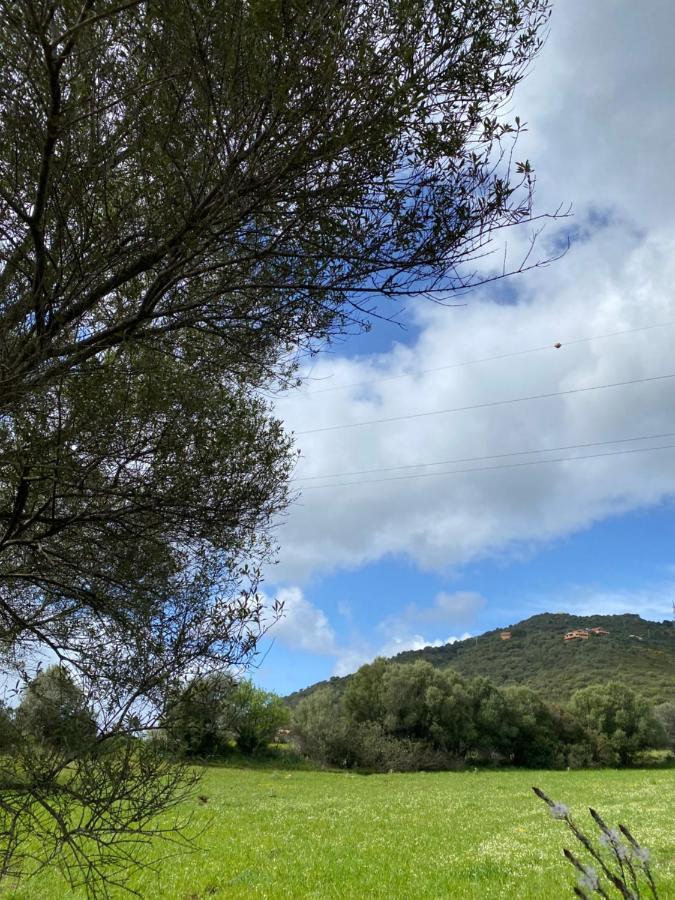 Casa Vacanza Porta Smeralda Olbia Kültér fotó