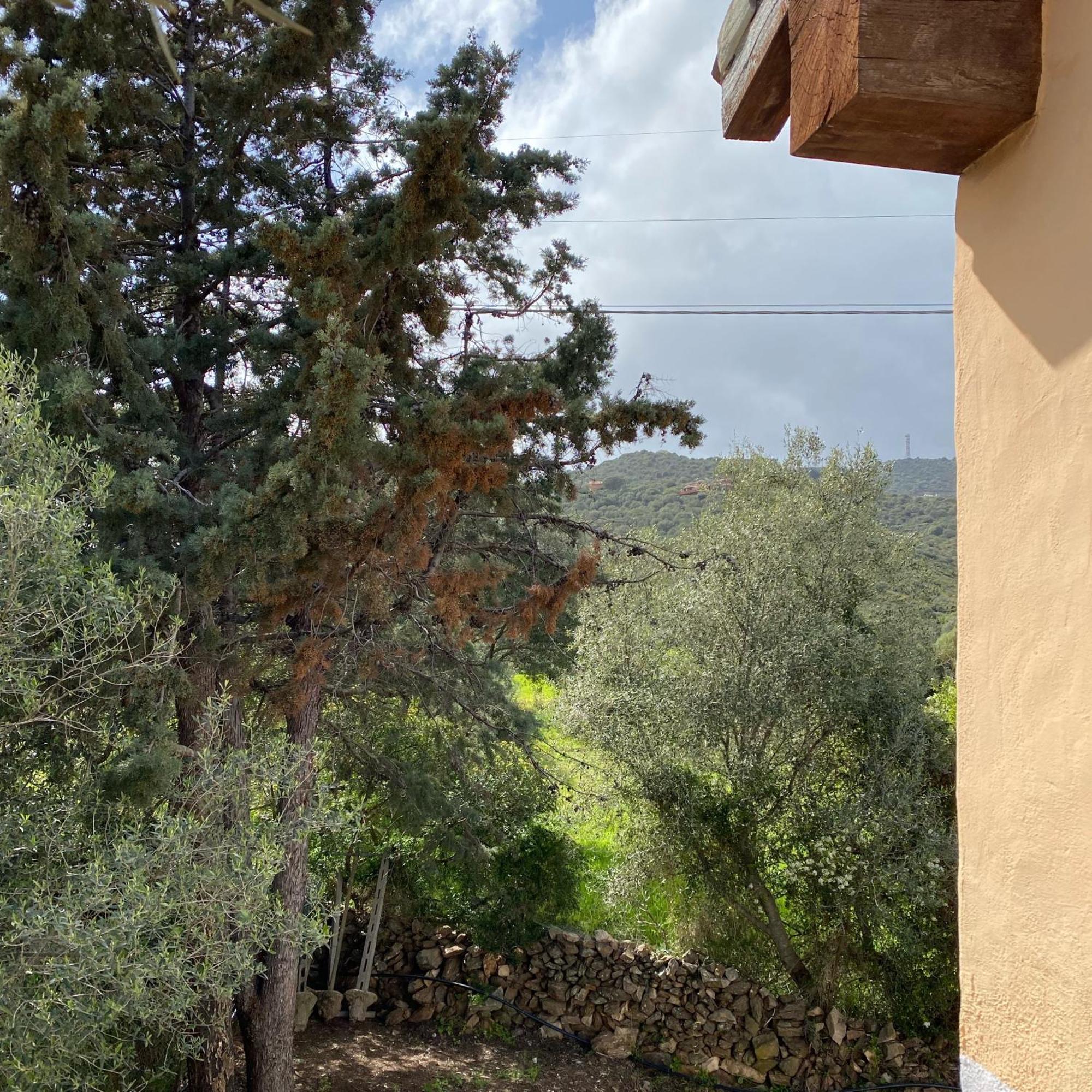 Casa Vacanza Porta Smeralda Olbia Kültér fotó